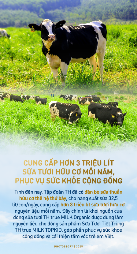 Bí mật vườn thảo dược cho bò sữa ngay trong trang trại TH true MILK- Ảnh 6.