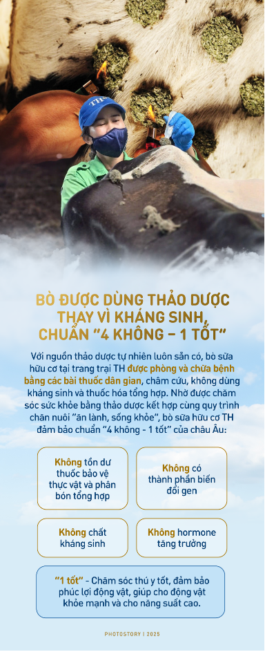Bí mật vườn thảo dược cho bò sữa ngay trong trang trại TH true MILK- Ảnh 5.