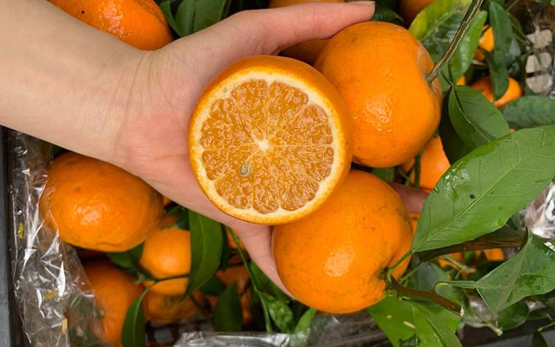 5 loại quả ngọt nhưng an toàn cho người tiểu đường: Chuyên gia khuyên nên bổ sung mỗi ngày- Ảnh 3. 5 loại quả ngọt nhưng an toàn cho người tiểu đường: Chuyên gia khuyên nên bổ sung mỗi ngày- Ảnh 3.