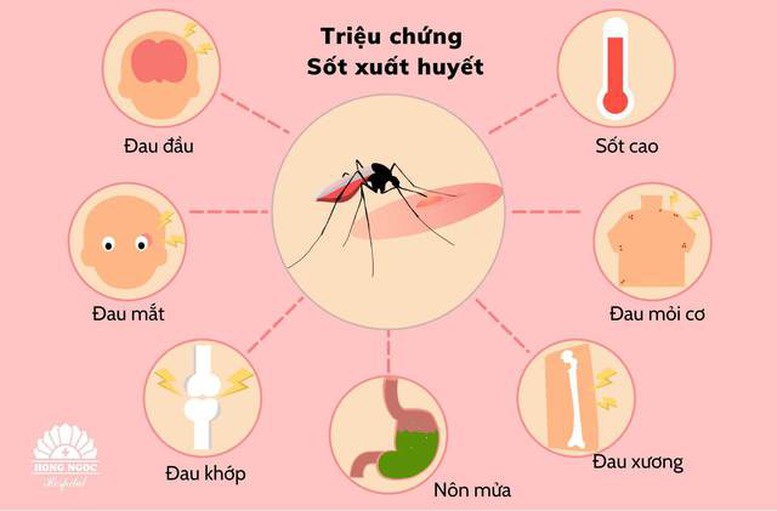 Sốt xuất huyết trên thế giới gia tăng- Ảnh 1.