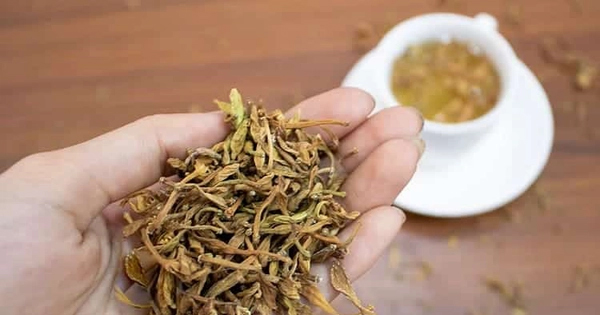 Từ chối mổ, người phụ nữ kiên trì uống nước hoa đu đủ đực để tiêu u tuyến giáp, sau 1 năm nhận kết quả bất ngờ- Ảnh 1. Từ chối mổ, người phụ nữ kiên trì uống nước hoa đu đủ đực để tiêu u tuyến giáp, sau 1 năm nhận kết quả bất ngờ- Ảnh 1.