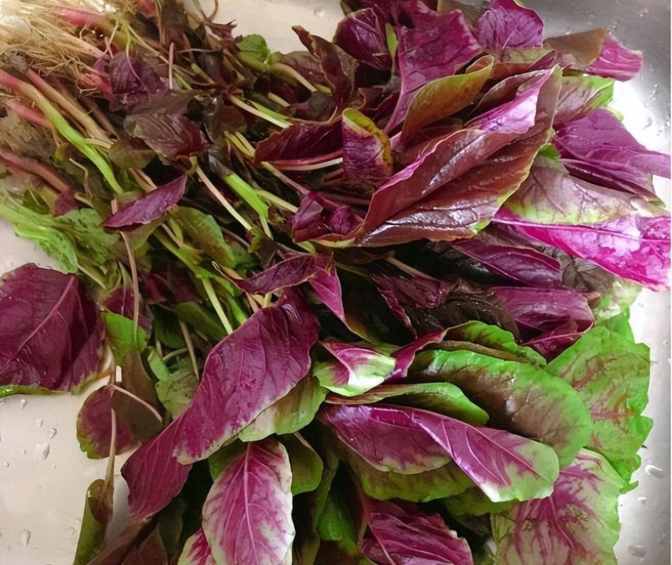 Loại Loại