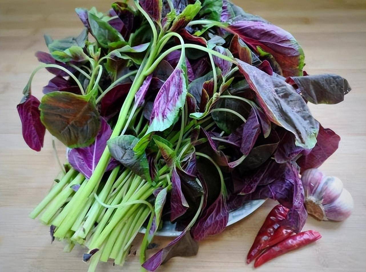 Loại Loại
