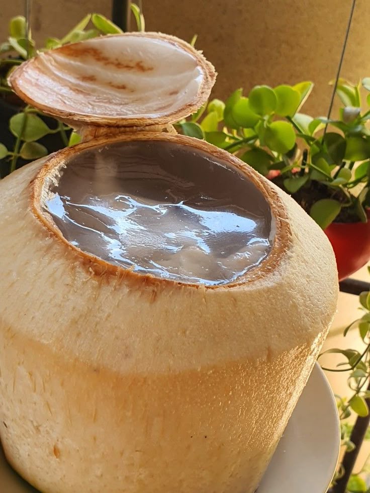 Phụ nữ Việt có 1 thức uống giúp giảm rụng tóc, lại 