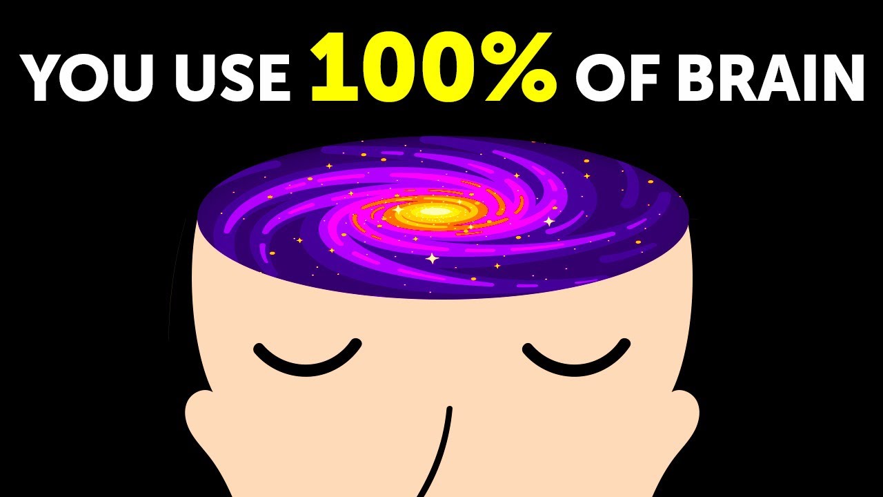 Chúng ta có thể làm được gì với một bộ não được kích hoạt 100%?- Ảnh 4. Chúng ta có thể làm được gì với một bộ não được kích hoạt 100%?- Ảnh 4.