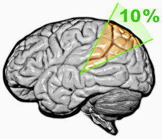Chúng ta có thể làm được gì với một bộ não được kích hoạt 100%?- Ảnh 1. Chúng ta có thể làm được gì với một bộ não được kích hoạt 100%?- Ảnh 1.