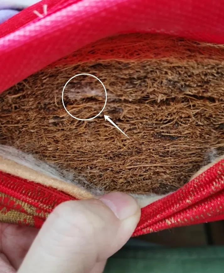 Danh sách 4 thứ trong nhà cần Danh sách 4 thứ trong nhà cần