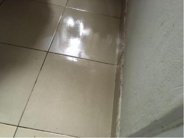 Đột phá từ lợi khuẩn giiúp ngăn nấm mốc và côn trùng trên sàn hiệu quả trong thời tiết giao mùa- Ảnh 1. Đột phá từ lợi khuẩn giiúp ngăn nấm mốc và côn trùng trên sàn hiệu quả trong thời tiết giao mùa- Ảnh 1.